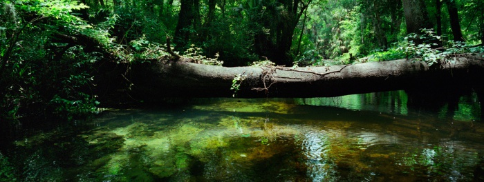 HIllsborough Clarity, 2010