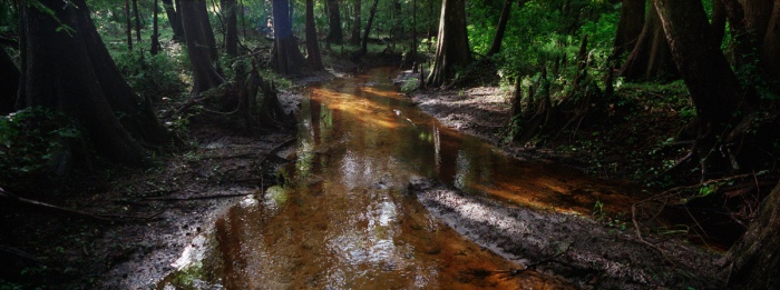 Cypress Creek, 2011