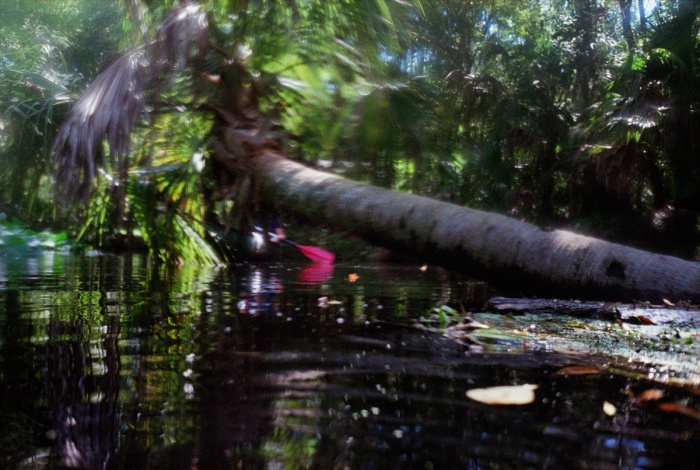 Pink Paddle, 2011