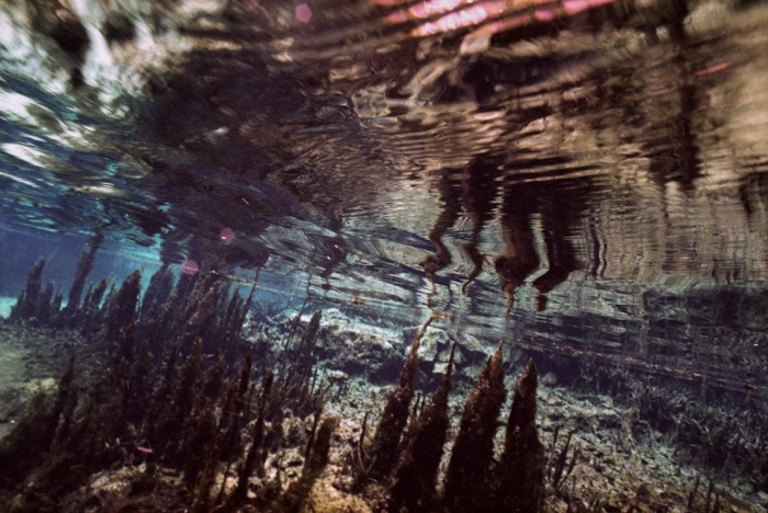 Near the Source, 2011