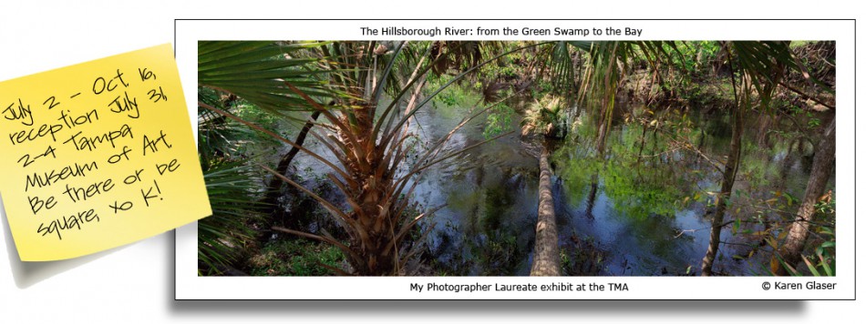 Postcard from Tampa - Click to enlarge Postcard from Tampa